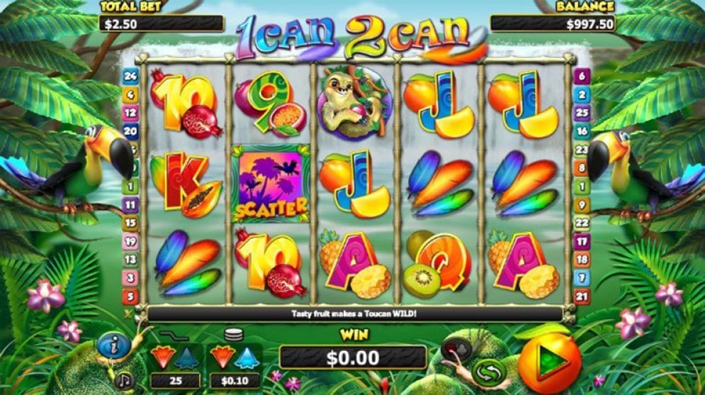 1 Can 2 Can Video Slot