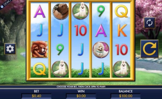 A Bark in the Park Video Slot online spielen