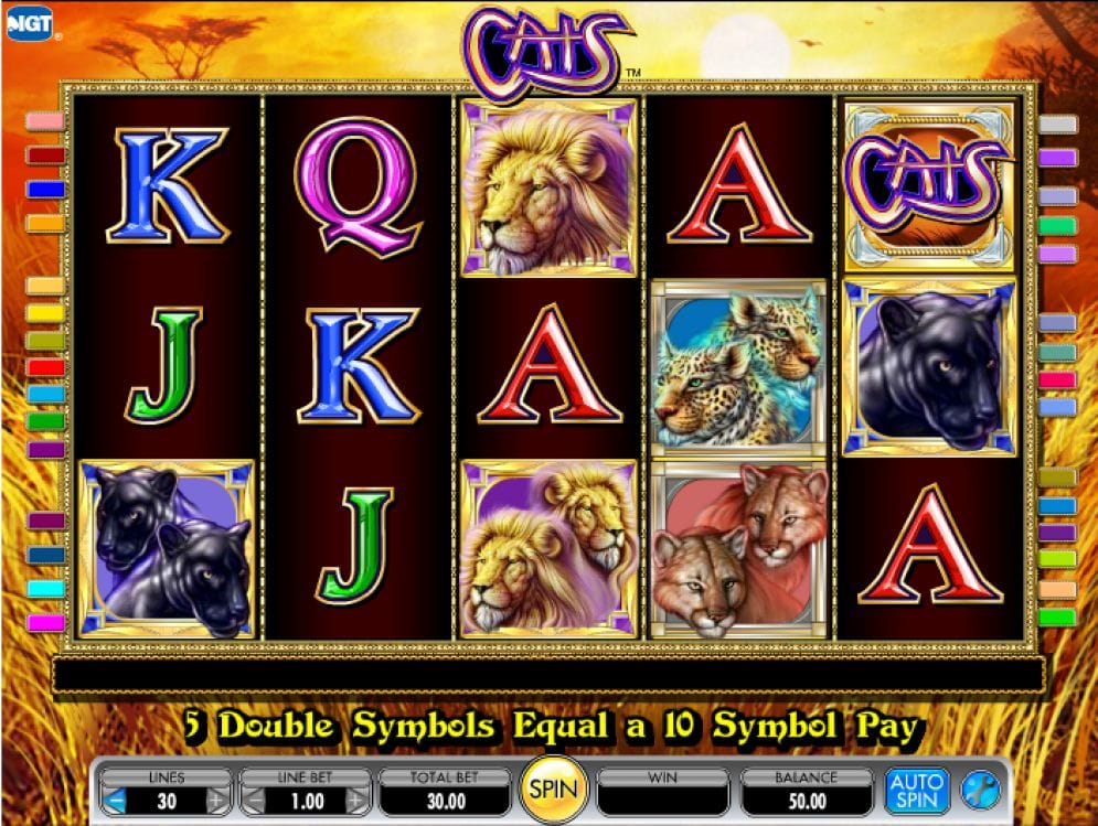 Cats Cats online Casinospiel