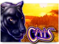 Cats Spielautomat