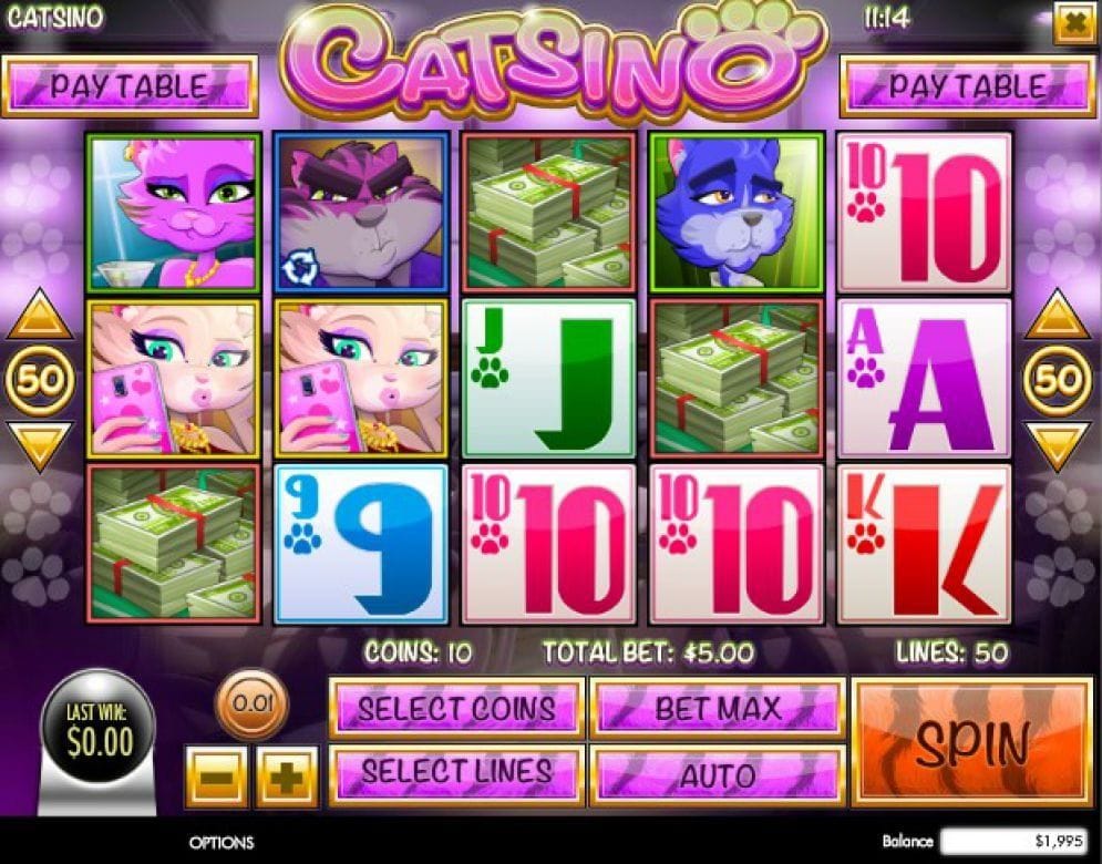 Catsino Casinospiel