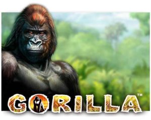 Gorilla Geldspielautomat ohne Anmeldung