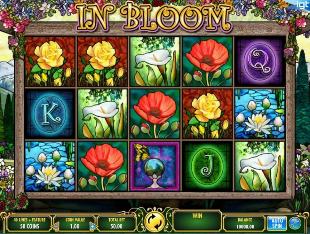 In Bloom In Bloom Video Slot