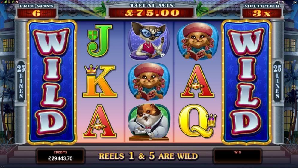 Kitty Cabana Kitty Cabana online Slotmaschine
