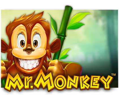 Mr. Monkey Video Slot freispiel