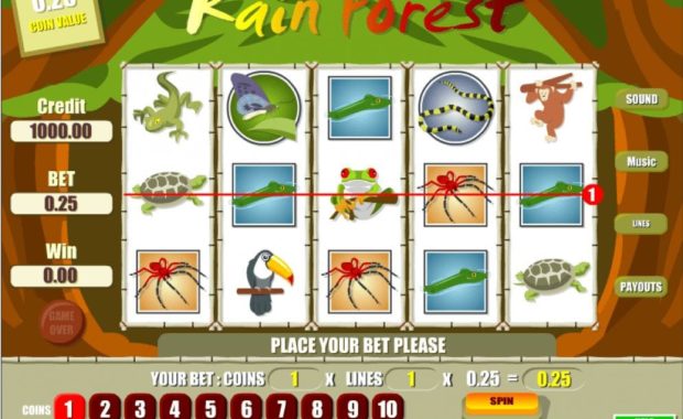 Rain Forest Videoslot online spielen