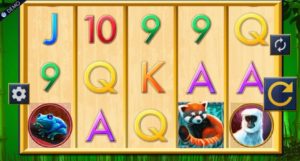 Red Panda Paradise Spielautomat online spielen