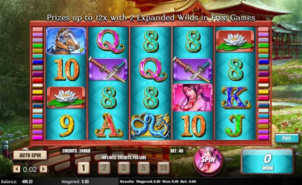 Samurai Princess Video Slot