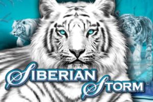 Siberian Storm Automatenspiel freispiel