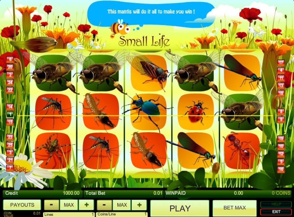 Small Life Small Life Videoslot