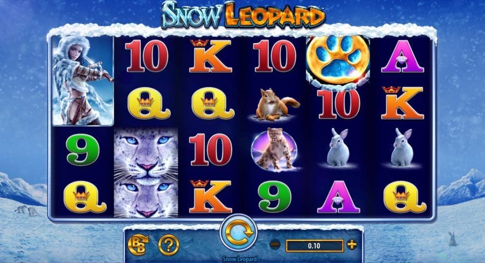 Snow Leopard Snow Leopard Video Slot