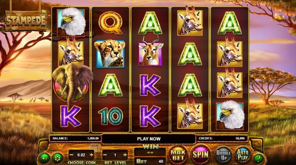 Stampede online Video Slot