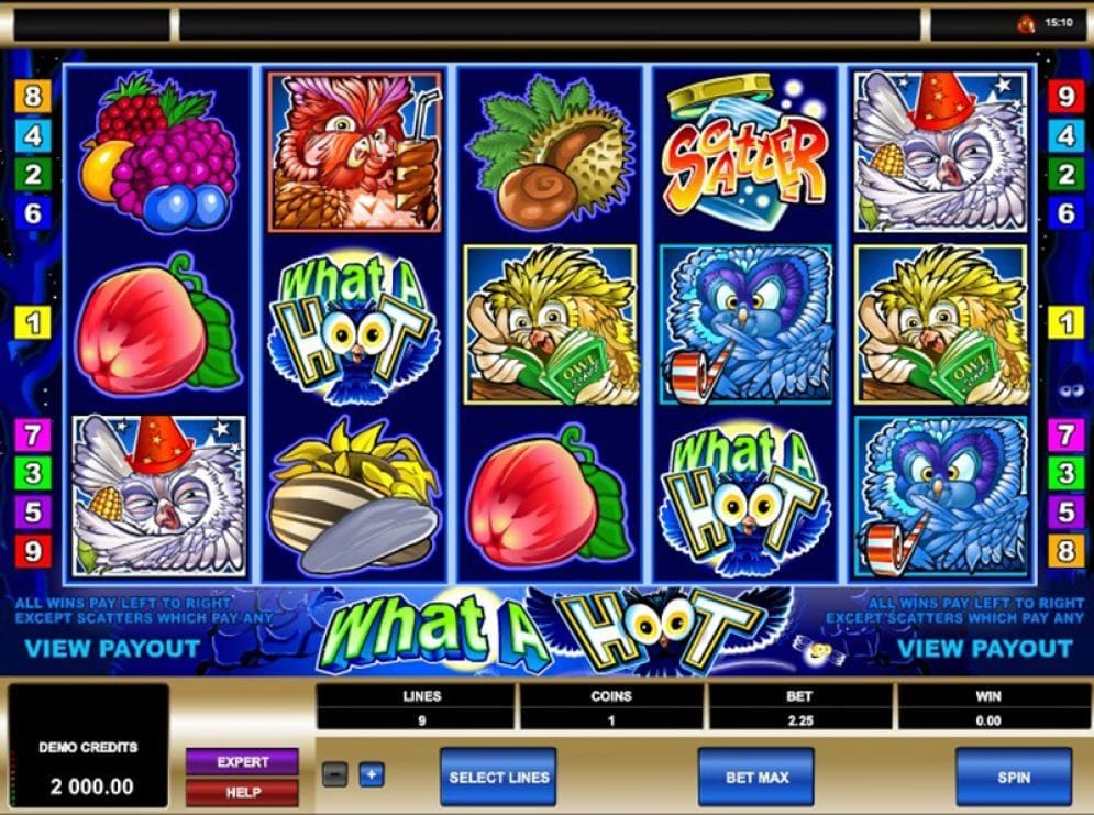 What a Hoot online Slotmaschine