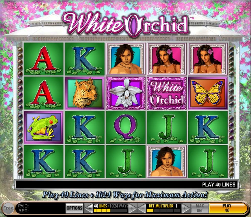 White Orchid White Orchid Videoslot
