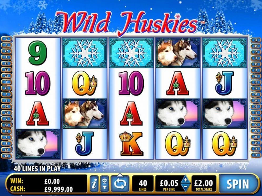 Wild Huskies online Video Slot